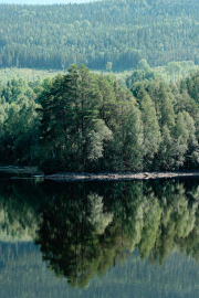 Reflections in Ångermansälven.