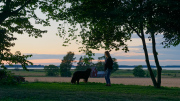 Roxy and Anna in sunset near lake Tåkern, Östergötland