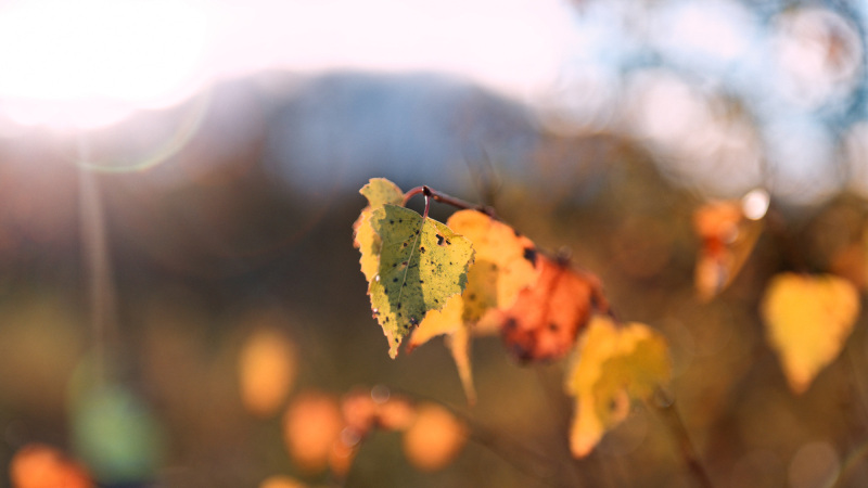 October-2025-006