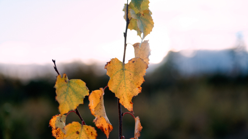 October-2025-007