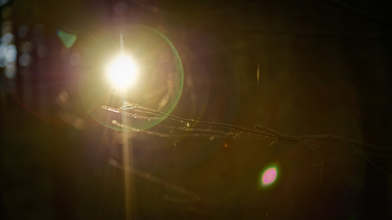 October-2025-013