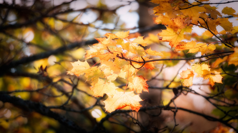 October-2025-027