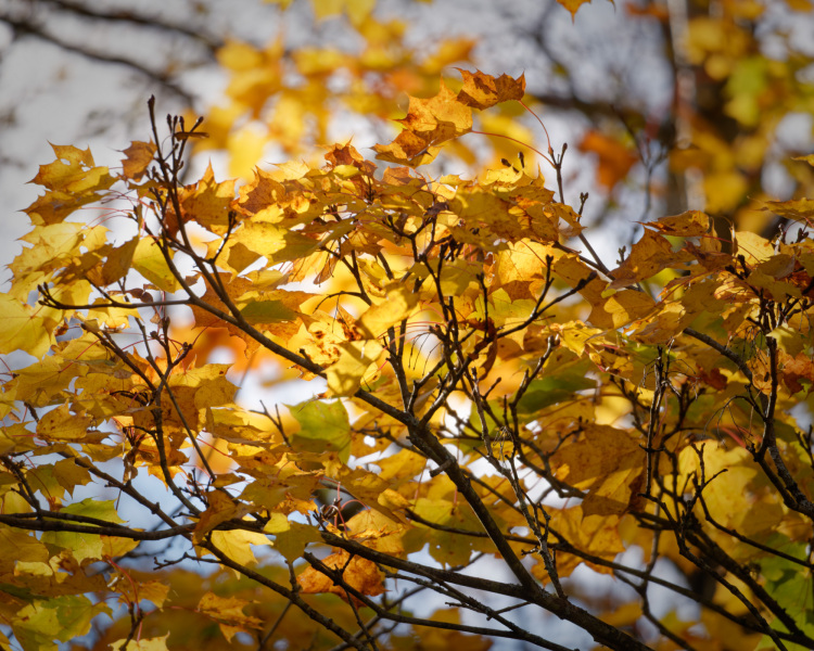 October-2025-028