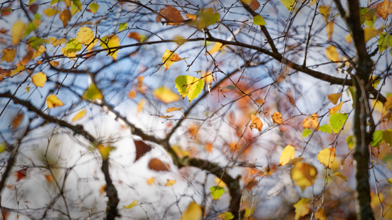 October-2025-031