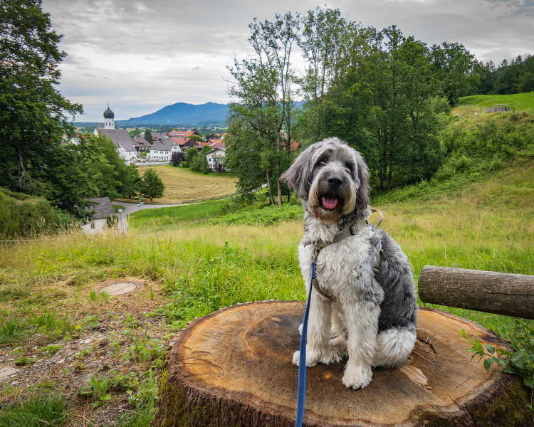 2024-07-14-Bavaria-011