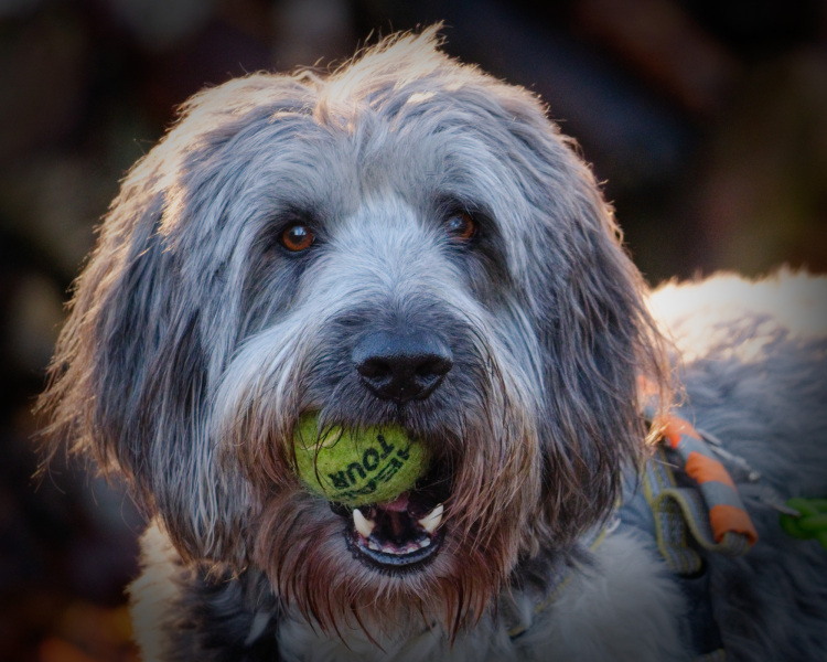 2025-12-30-Orust-001