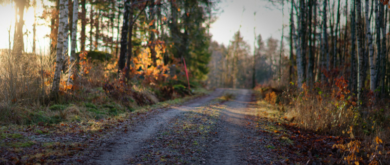 2025-12-30-Orust-003