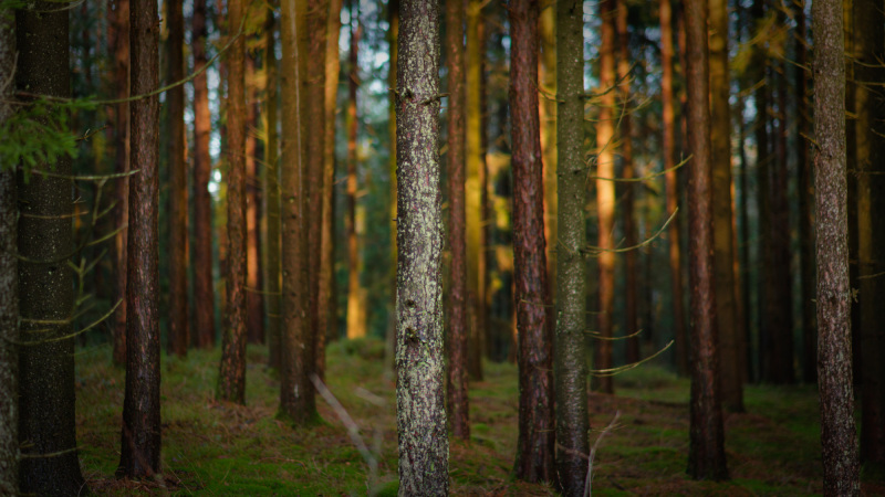 2025-12-30-Orust-004