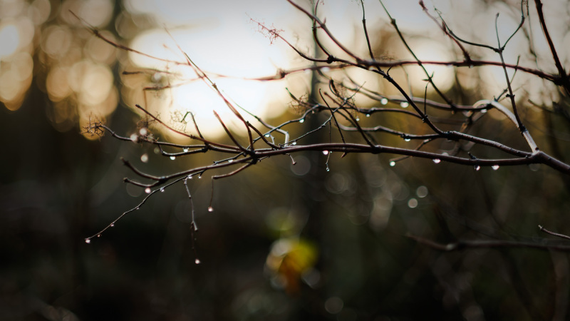 2025-12-30-Orust-007