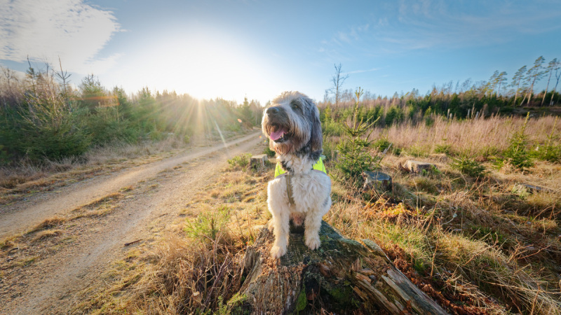 2025-12-30-Orust-017