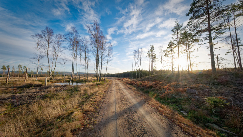 2025-12-30-Orust-019