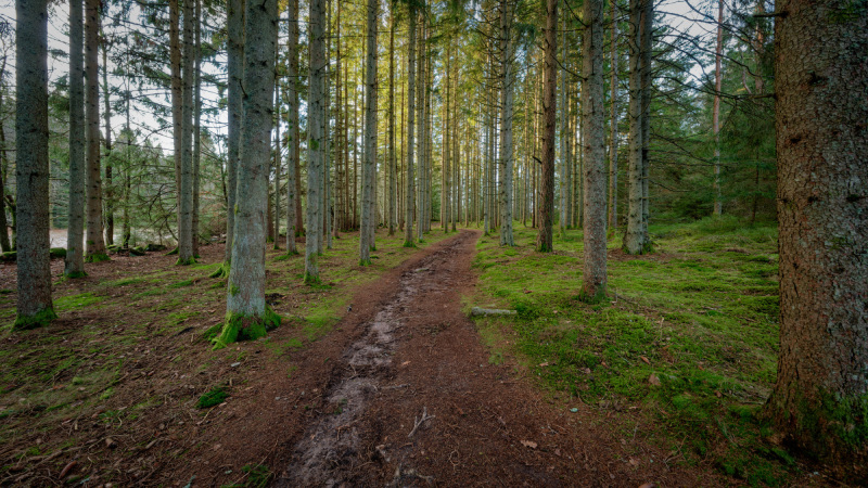 2025-12-30-Orust-021