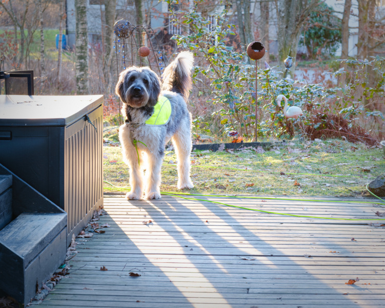 2025-12-30-Orust-023