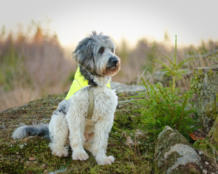 2025-12-30-Orust-024