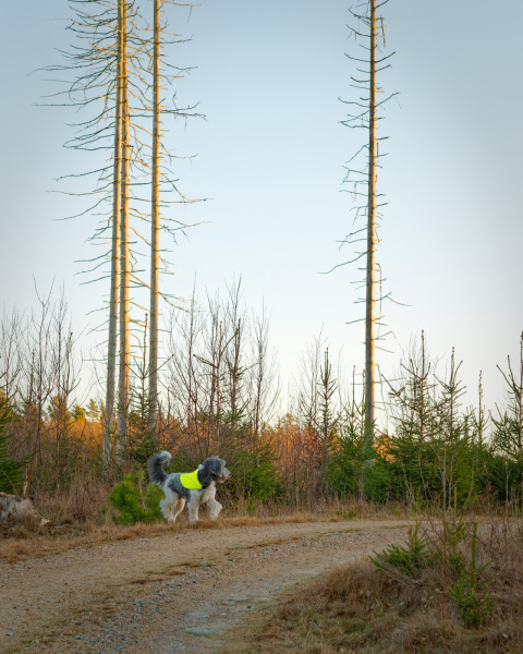 2025-12-30-Orust-025