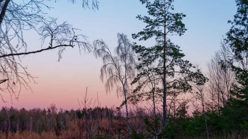 2025-12-30-Orust-026