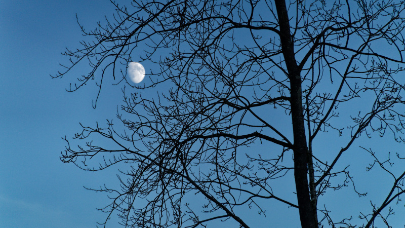 2025-12-30-Orust-027