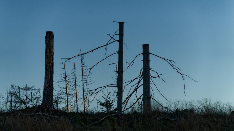 2025-12-30-Orust-028