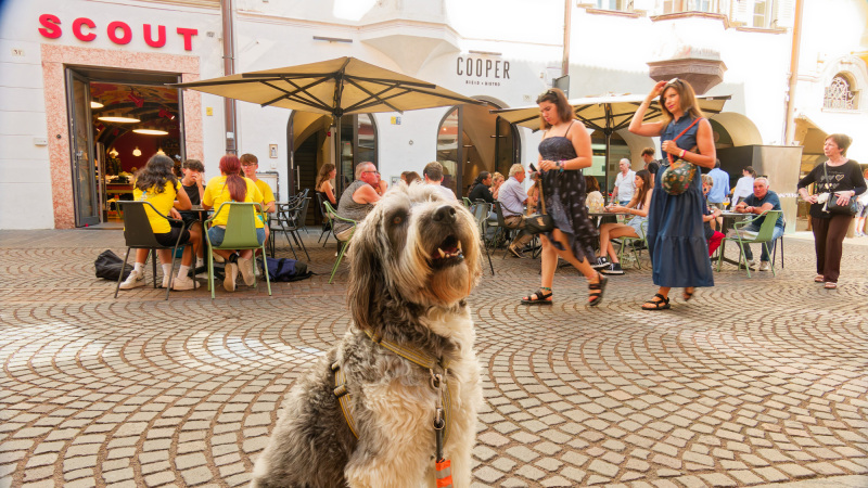 2025-07-22-Italienresan-029