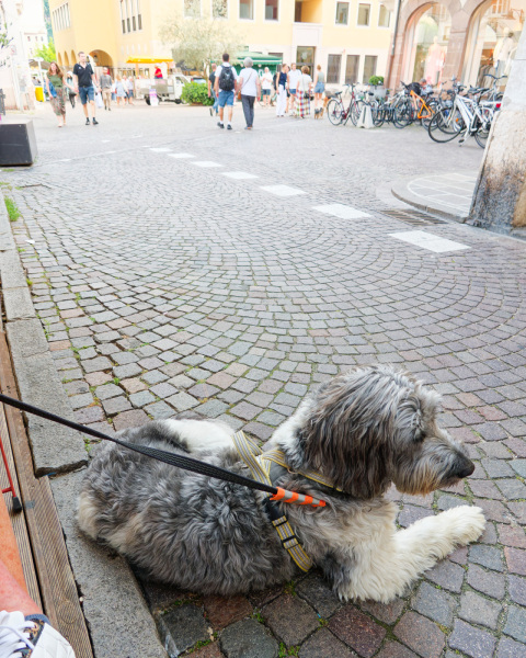 2025-07-22-Italienresan-031