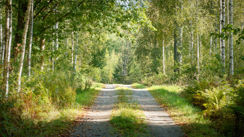 2025-September-001