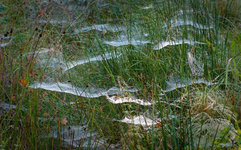 2025-September-004